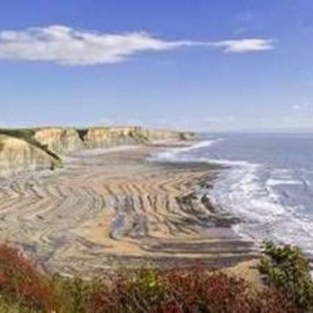 1-Bed Cottage On Coastal Pathway In South Wales Gileston المظهر الخارجي الصورة